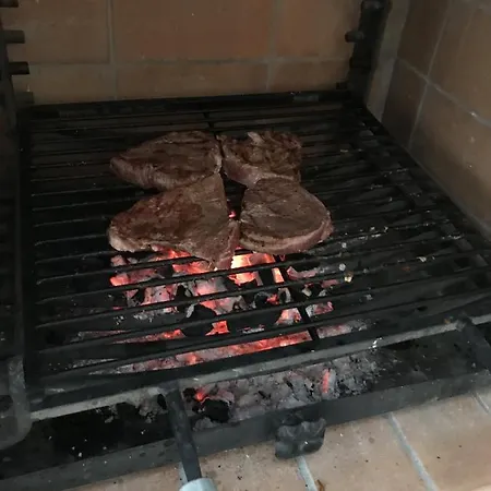 Vila Ref Zar07 Selva de Mar